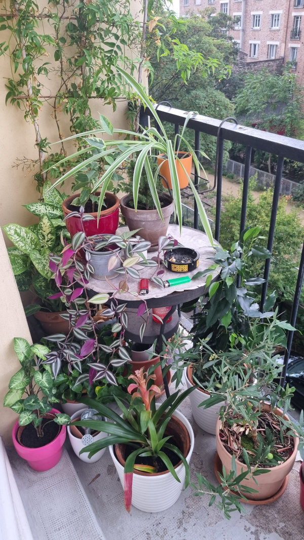 Offres de vente Appartement Paris 75012
